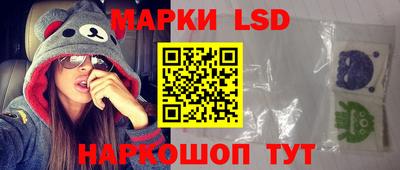 стаф Гатчина