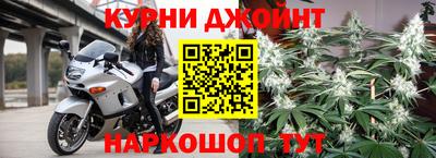 индика Гагарин
