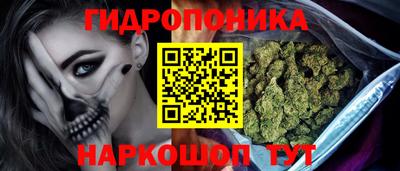стаф Гатчина