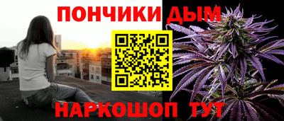 стаф Гатчина