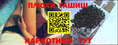 стаф Гатчина
