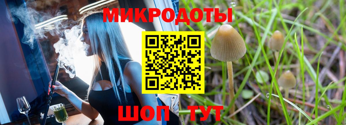 Галлюциногенные грибы Psilocybe  Псилоцибиновые грибы Magic Shrooms  Вход с VPN  Новодвинск 